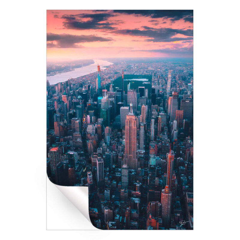 The Urban Jungle Wall Art by Zach Doehler