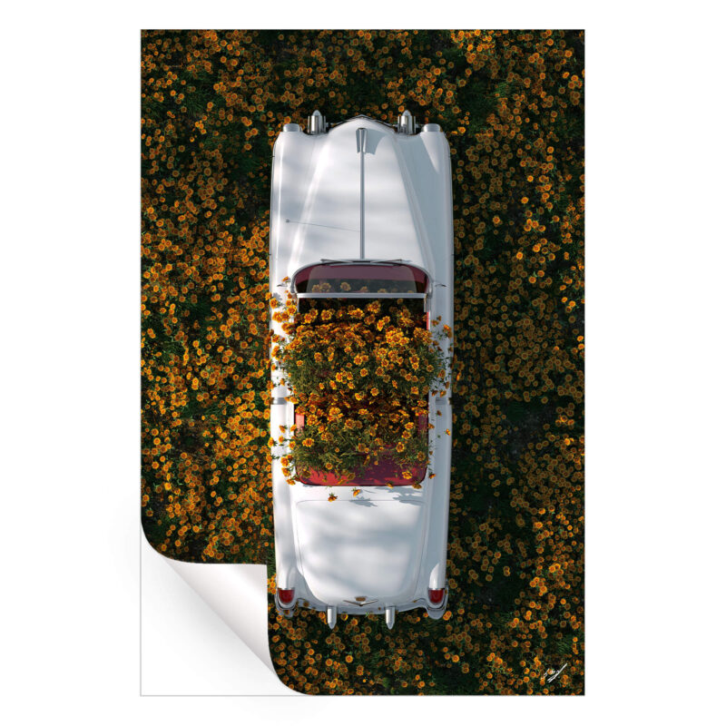 Cadillac in Flowers Warm Wall Art by Konji