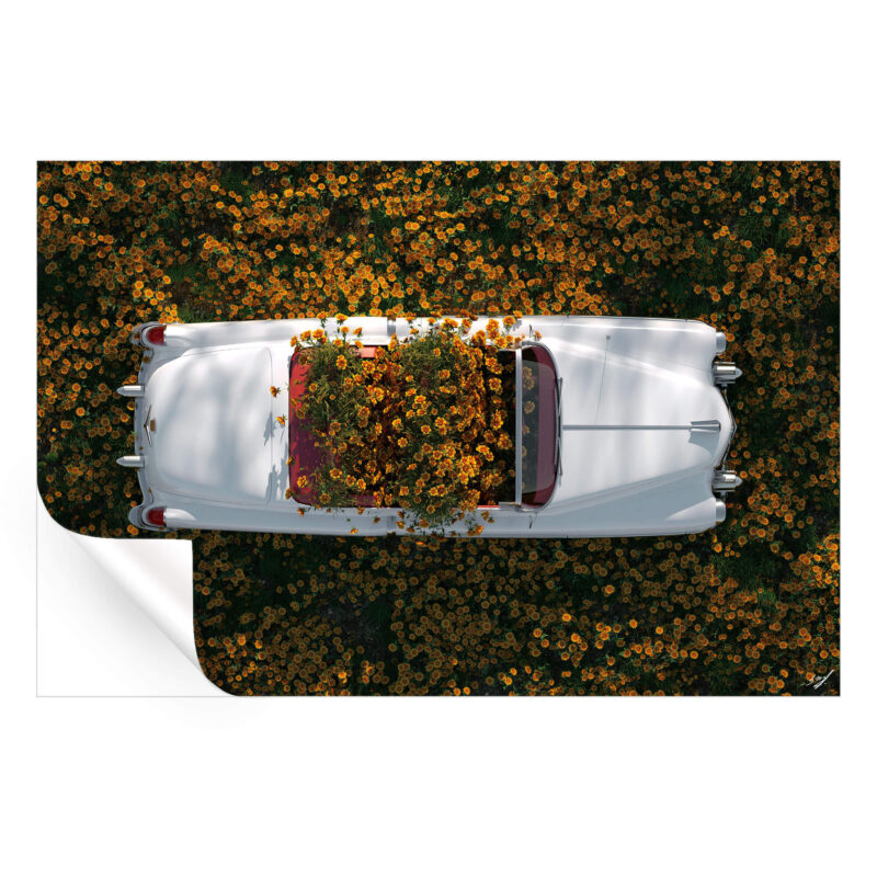 Yellow Flowers Warm Wall Art by Konji