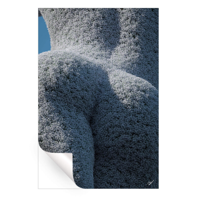 Flowers Cool Wall Art by Konji