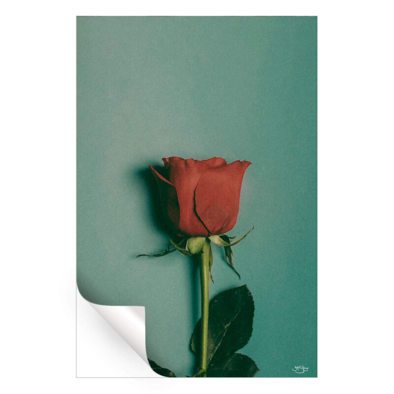 Velvet Warm Wall Art by Zachary Snellenberger