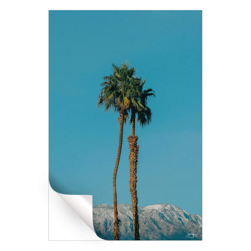 Oasis Blue Wall Art by Zachary Snellenberger