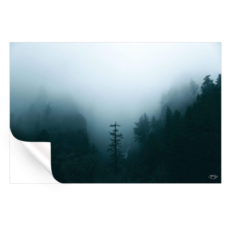 Winter Forest Fog Dark Wall Art by Zachary Snellenberger