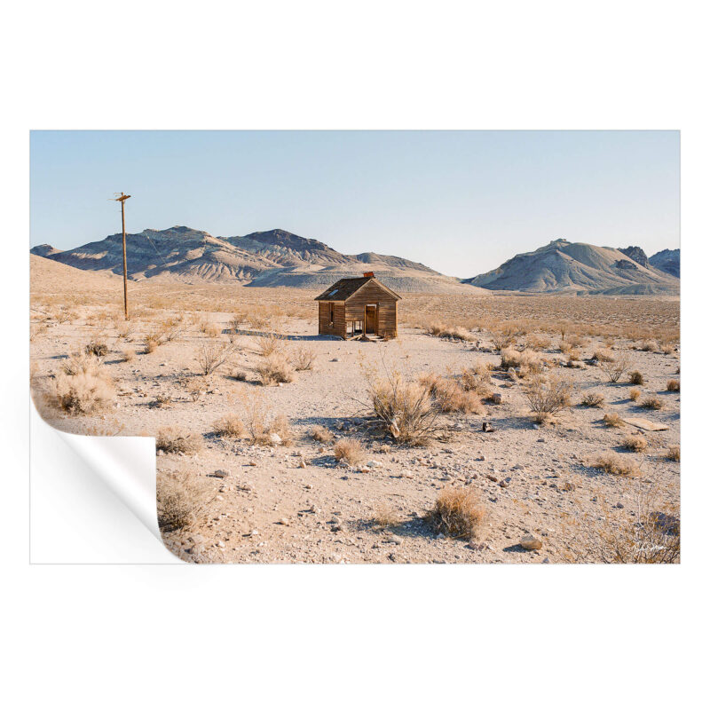 Death Valley Neutral Wall Art by Nicholas Dantzer