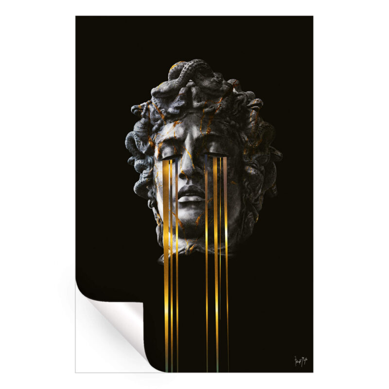 MDS Dark Wall Art by Frank Moth