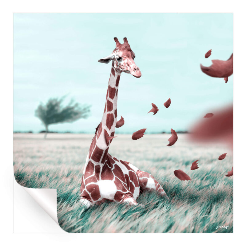 Windy Cool Wall Art by Julien Tabet