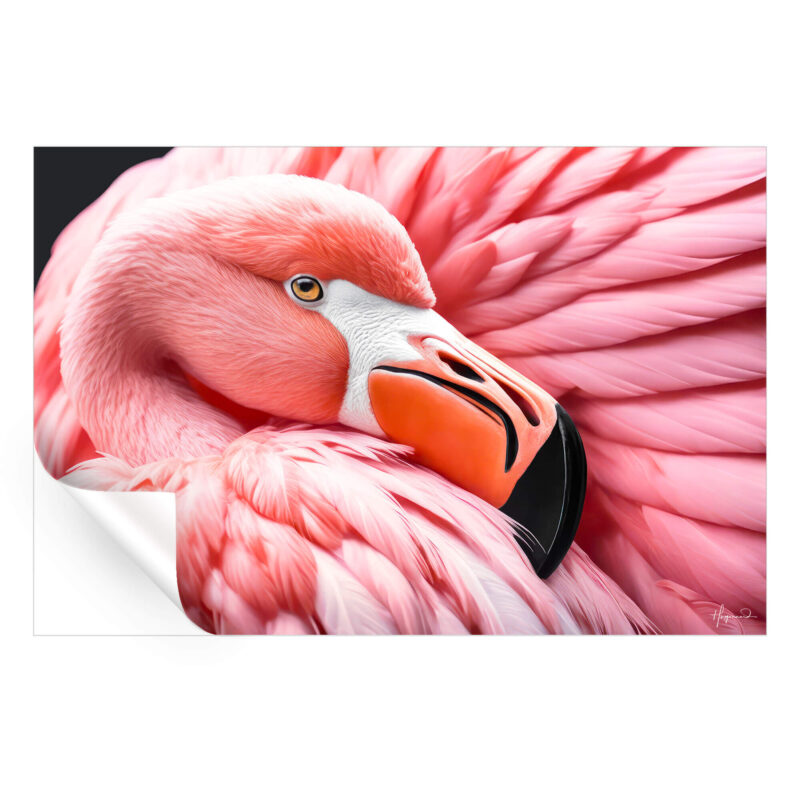 Between the Pink Wings Vibrant Wall Art by Philippe HUGONNARD