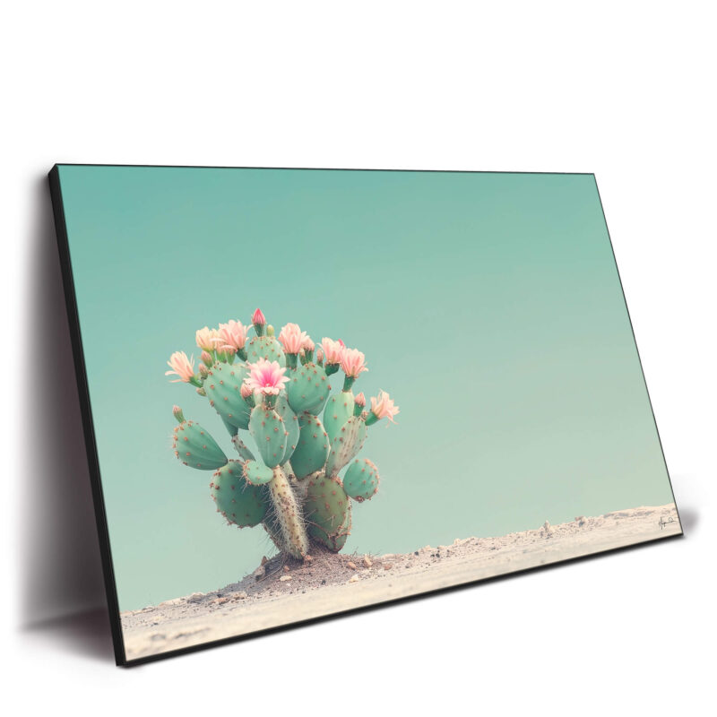 Cactus with pink flowers against a pale turquoise sky in a desert landscape.
