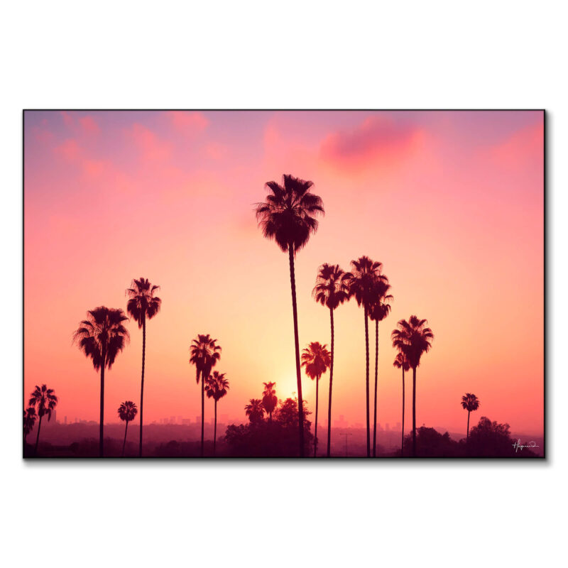 Silhouetted palm trees against a vibrant pink, orange, and purple sunset sky with a distant city skyline.