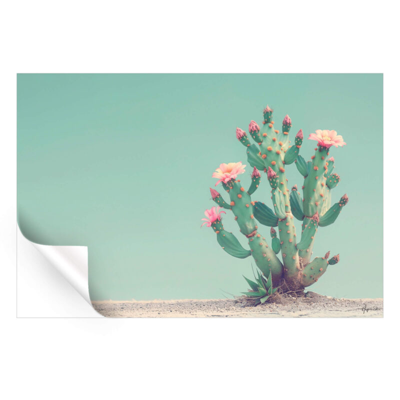 Small cactus with pink flowers in a serene desert landscape against a teal sky.
