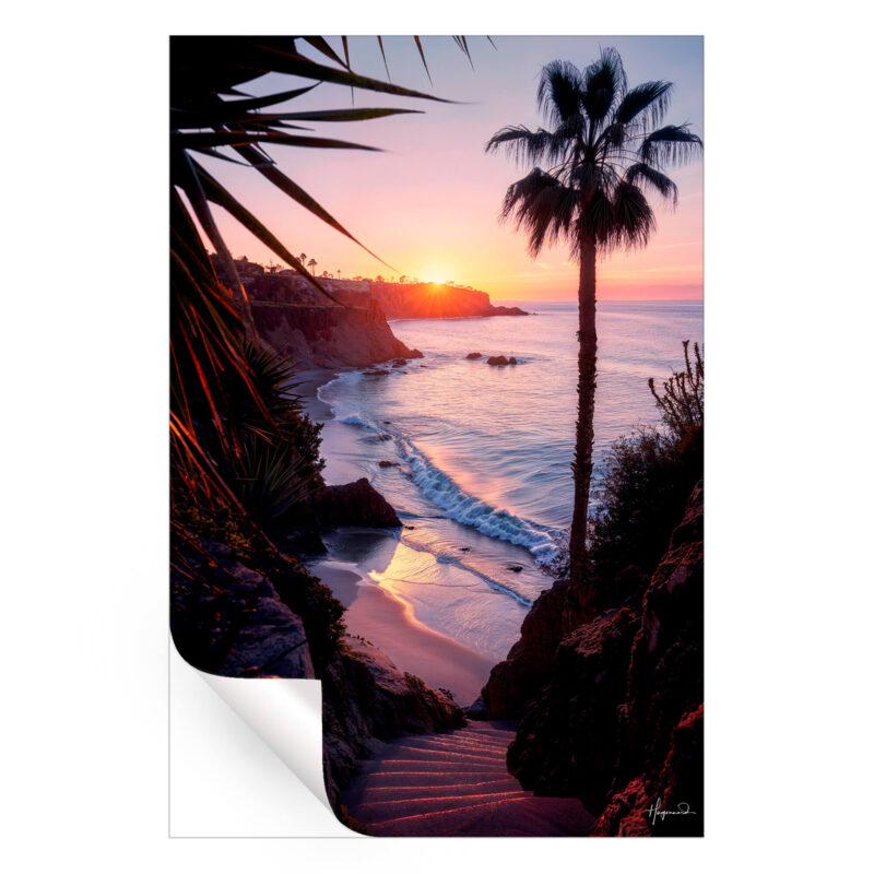 Sunset over ocean with a hidden staircase leading to a private beach, framed by palm trees and tropical plants.