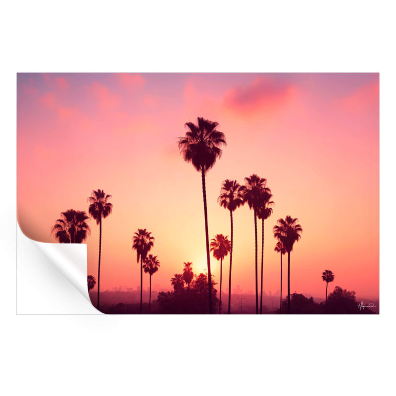 Palm trees against a vibrant pink, orange, and purple sunset sky with a distant city skyline.