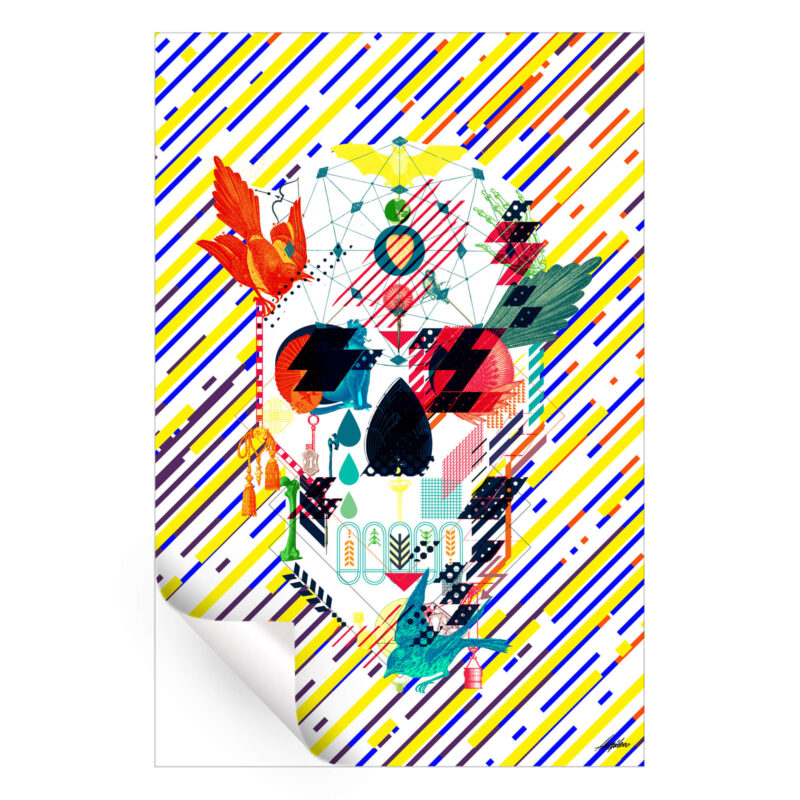 Colorful skull composed of shapes, birds, and abstract elements with a multicolored striped background.