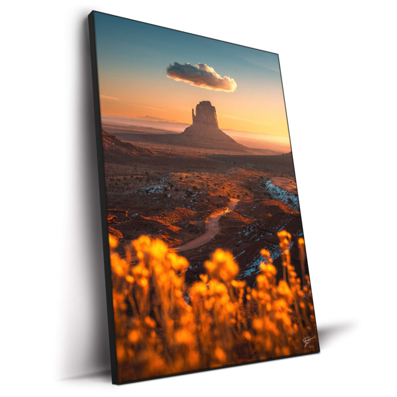 Sunset in Monument Valley with a sandstone butte, solitary cloud, and wildflowers in the foreground.