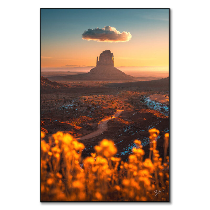 Sunset in Monument Valley, Arizona, with a butte, solitary cloud, and wildflowers in the foreground.