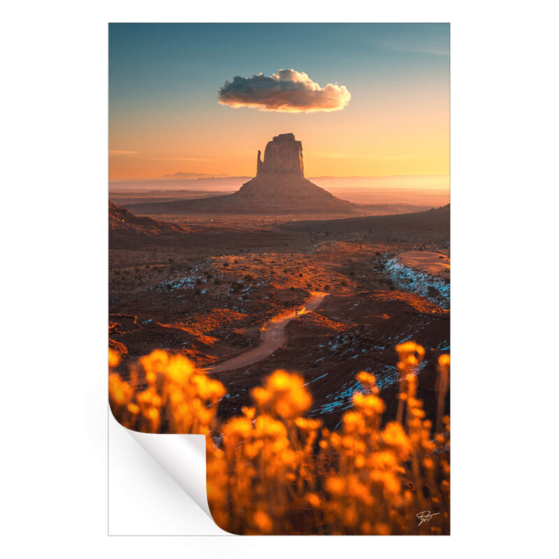 Sunset in Monument Valley, Arizona, with a sandstone butte, solitary cloud, and wildflowers in the foreground.