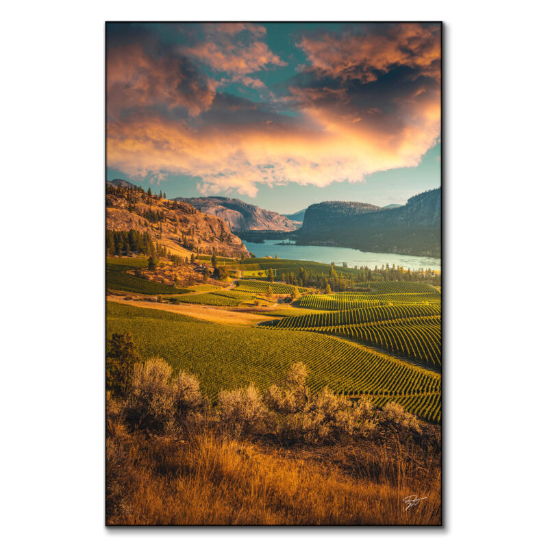 Vineyards in the Okanagan Valley, under a vibrant sunset with a serene lake.