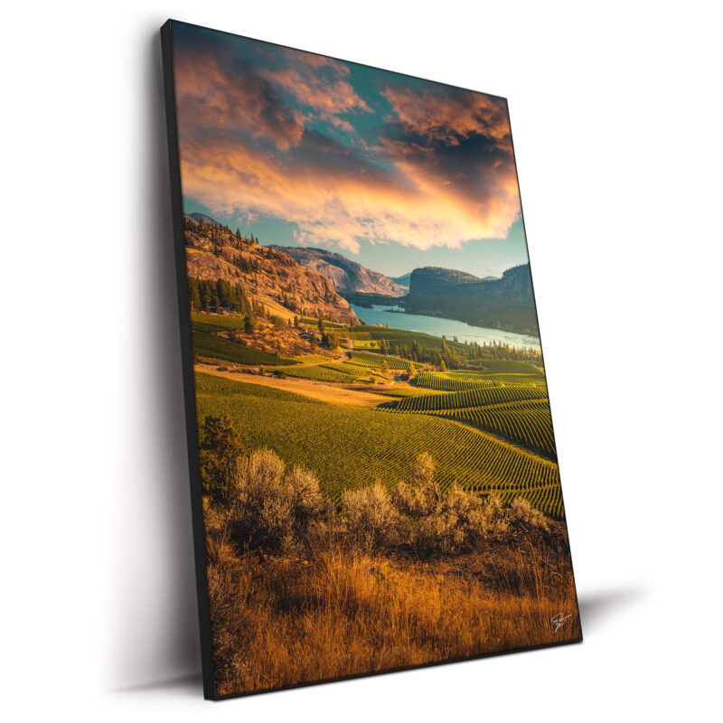 Vineyards in the Okanagan Valley, British Columbia, under a vibrant sunset sky with a serene lake and rolling hills.