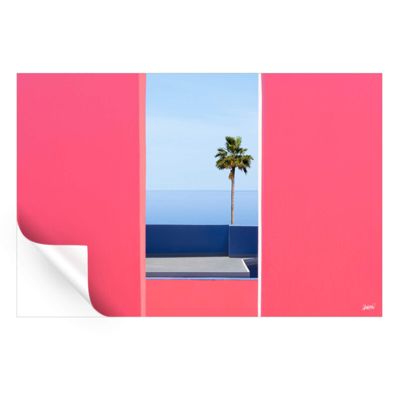 Palm tree framed by pink walls with a blue sea and sky background.