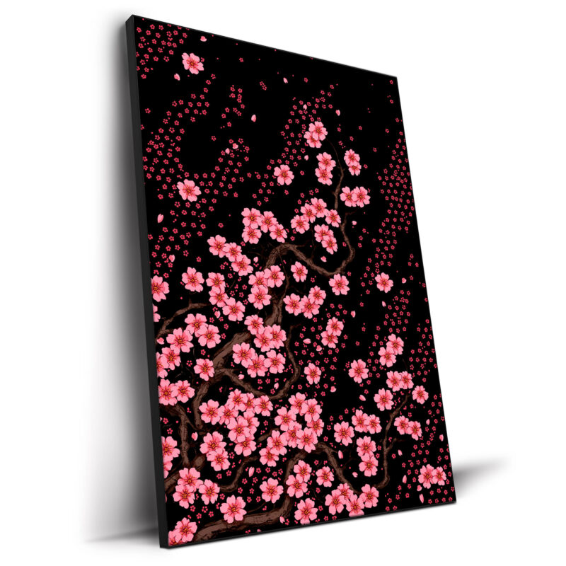 Pink cherry blossoms on twisting branches against a black background.