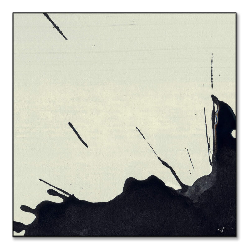 Bloom Part 2 Black and White Wall Art by Jared Hankins