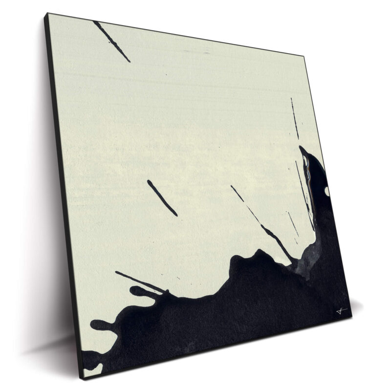 Bloom Part 2 Black and White Wall Decor by Jared Hankins