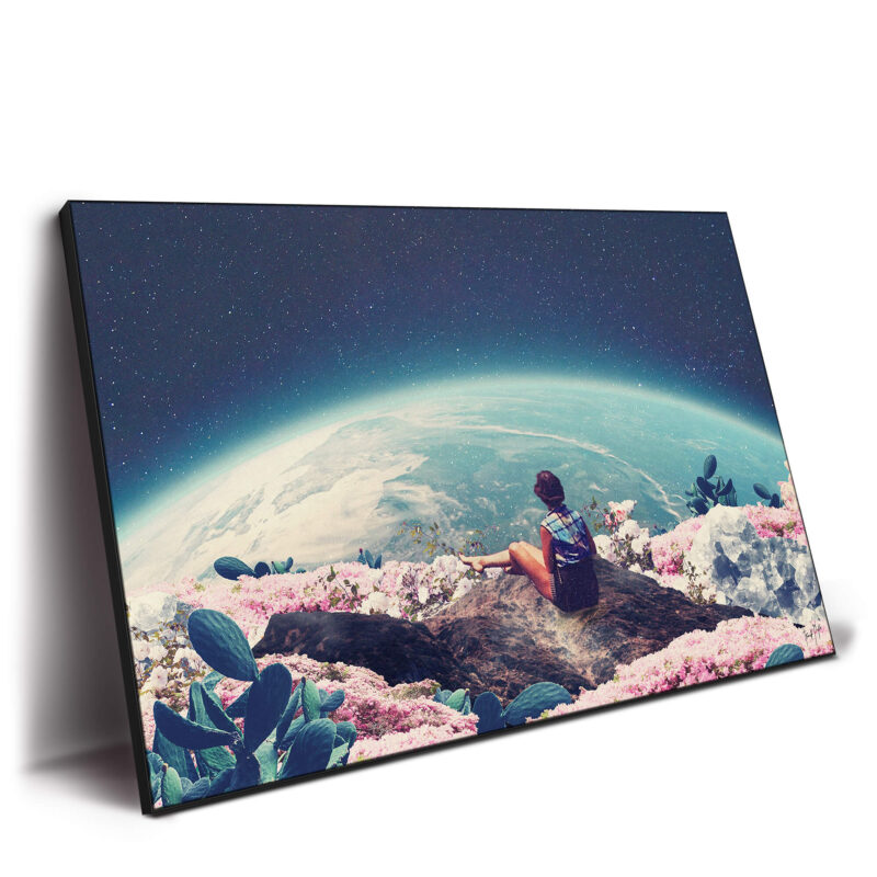 My World Blossomed Dark Wall Decor by Frank Moth