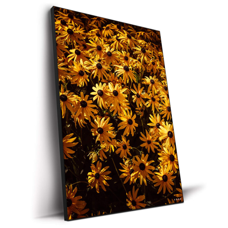 Headed Nowhere Warm Wall Decor by Nick Ford