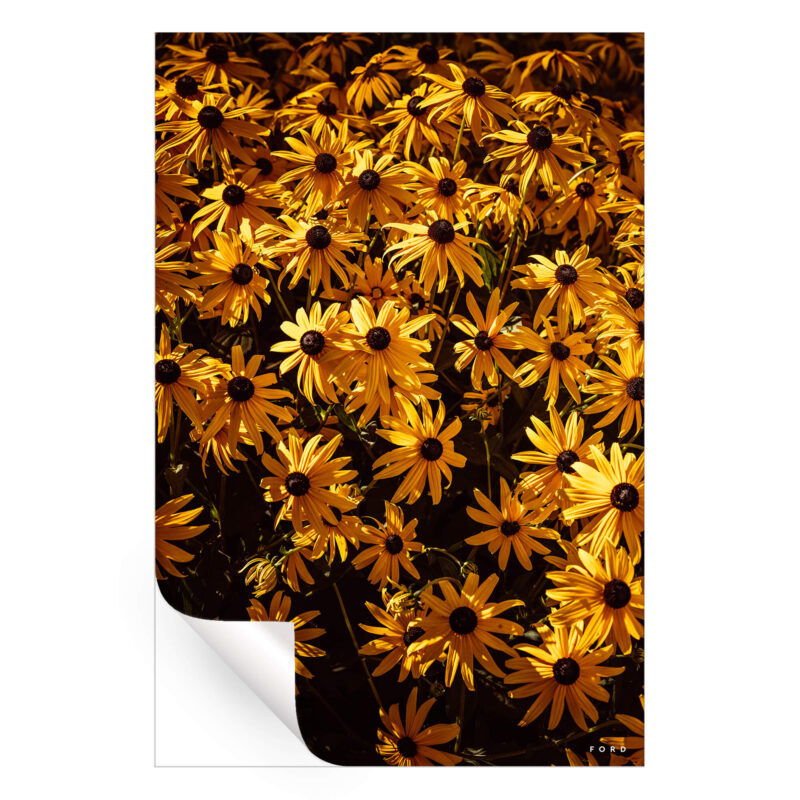 Headed Nowhere Warm Wall Art by Nick Ford