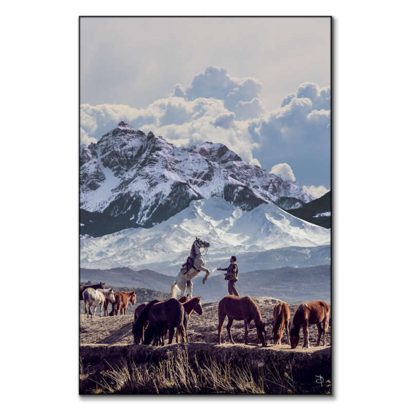 Cowboy with a horse in front of snow-capped mountains, surrounded by grazing horses in a tranquil landscape.