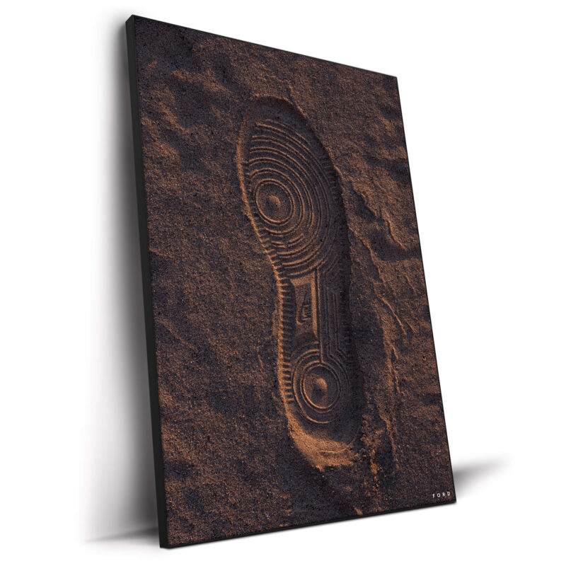 Air Force One Dark Wall Decor by Nick Ford