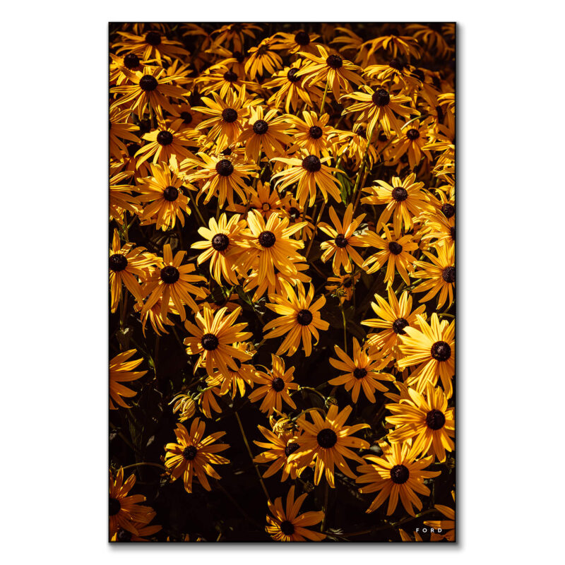 Headed Nowhere Warm Wall Art by Nick Ford