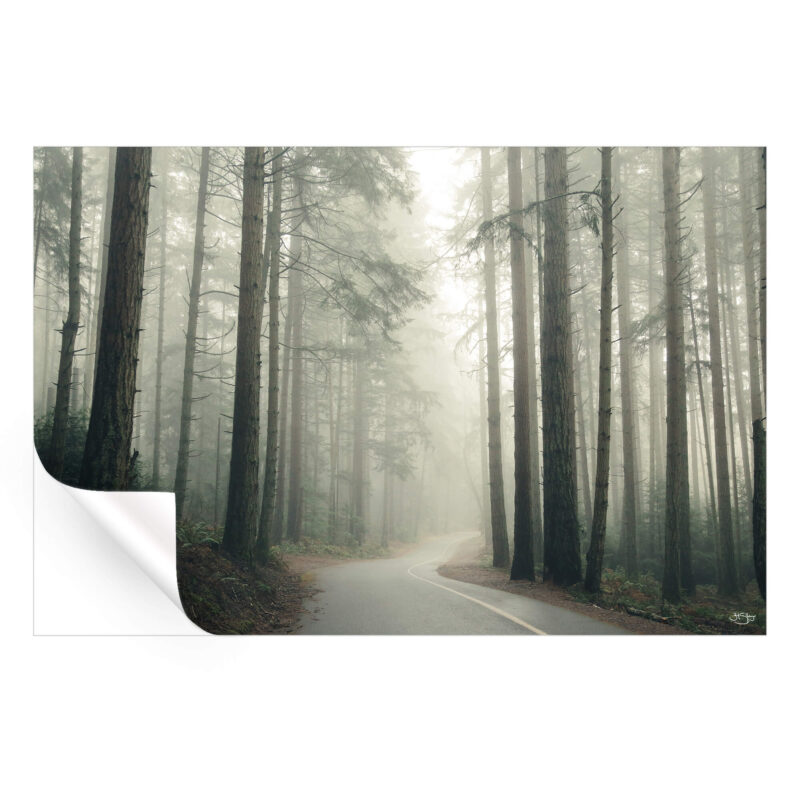 Pacific Northwest Sage Green Wall Art by Zachary Snellenberger