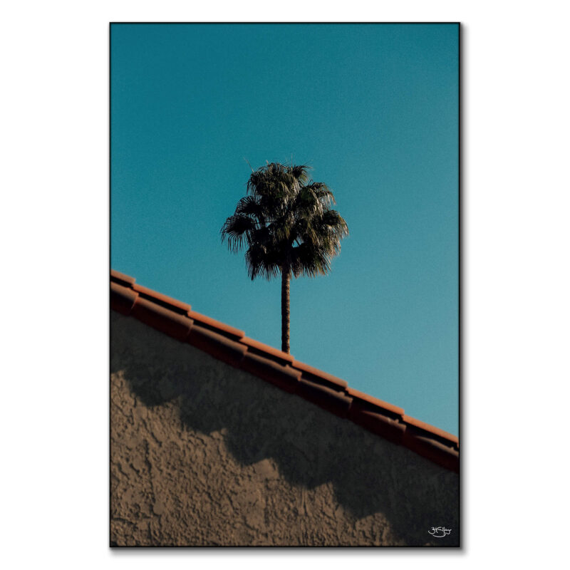 A house with a palm tree under a bright blue sky.