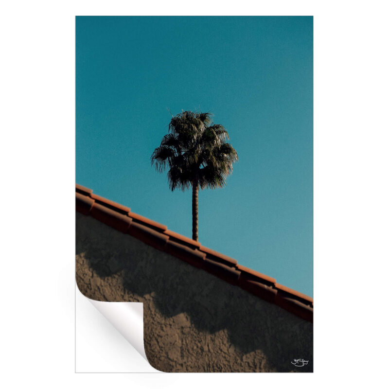 A house with a palm tree under a bright blue sky.