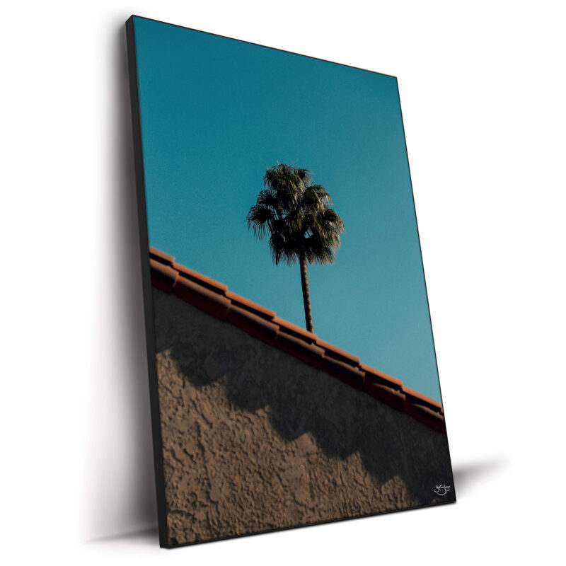 A house with a palm tree under a bright blue sky.