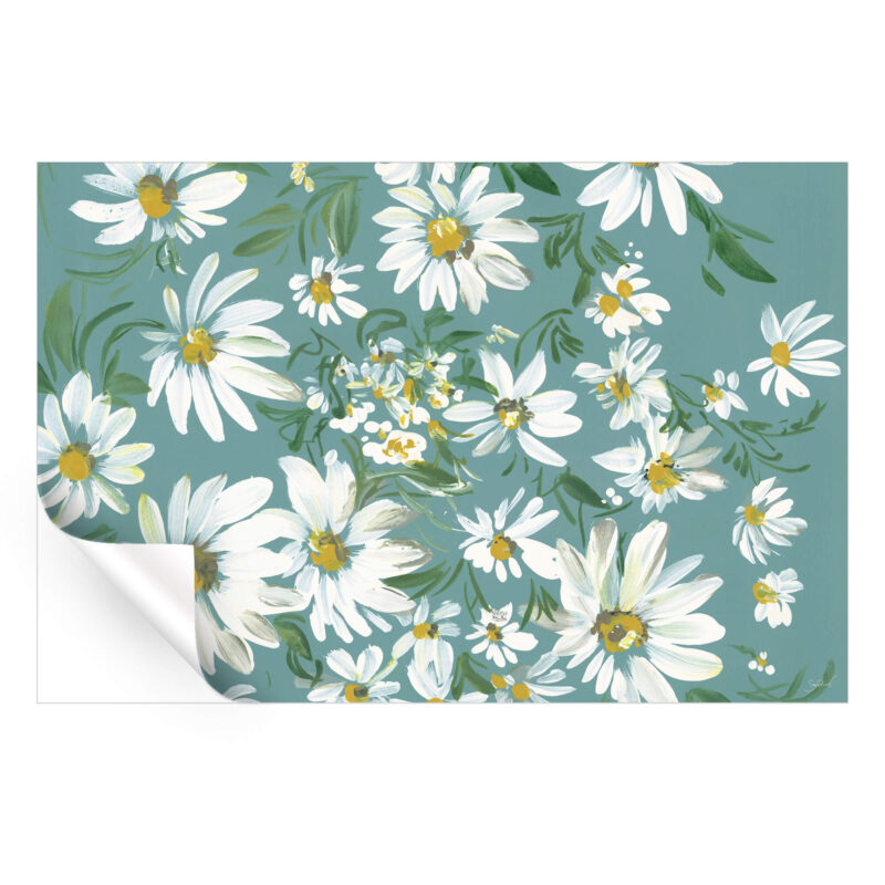 White daisies on a teal background, highlighting the simplicity and beauty of the flowers.