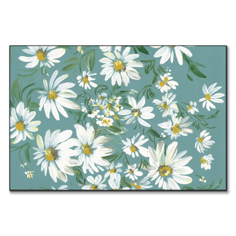 White daisies on a teal background, highlighting the simplicity and beauty of the flowers.