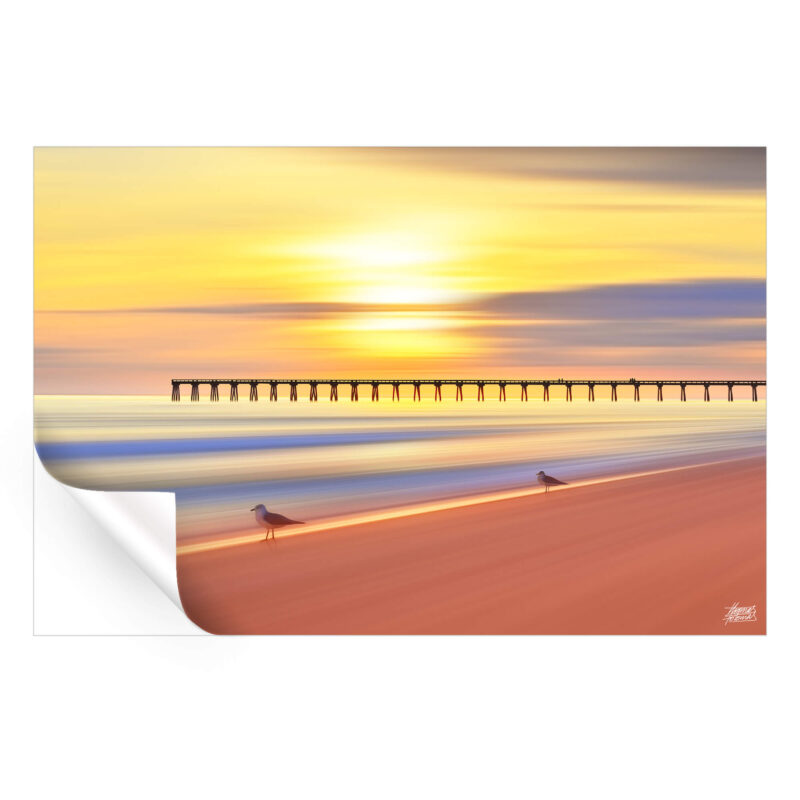 A sunset over the beach with seagulls flying, capturing a tranquil coastal scene with vibrant colors.