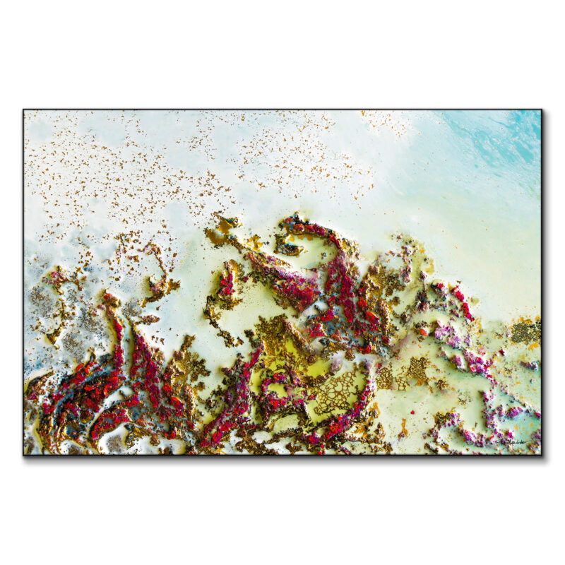 Scarlet Dance Vibrant Wall Art by Petra Meikle de Vlas