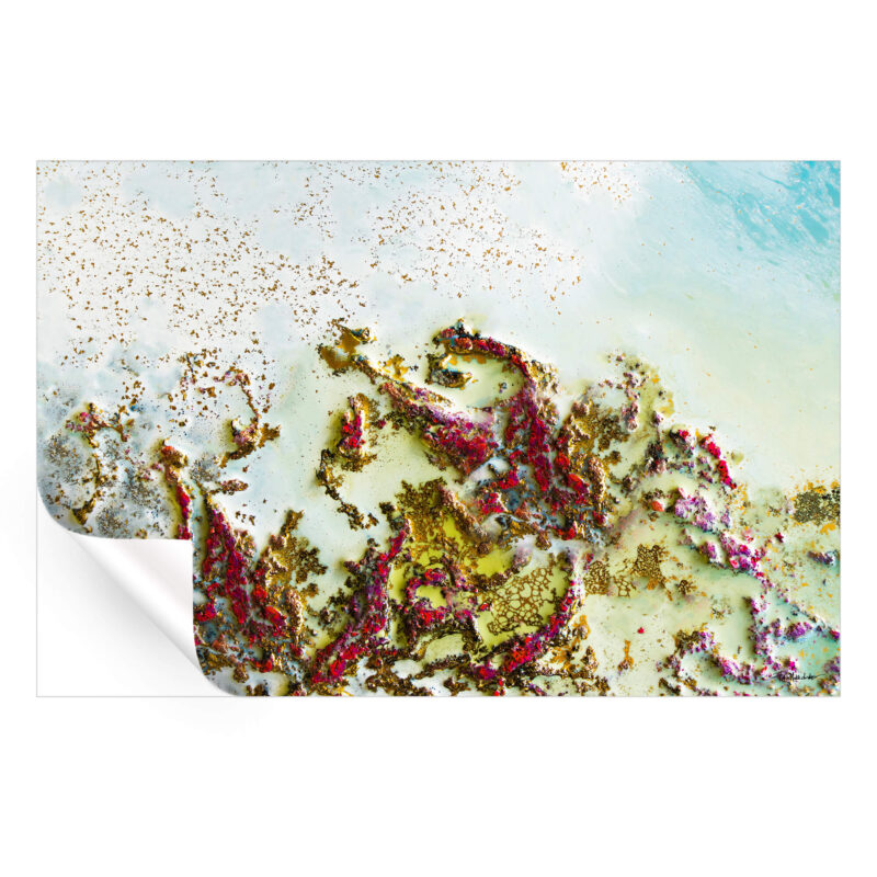 Scarlet Dance Vibrant Wall Art by Petra Meikle de Vlas