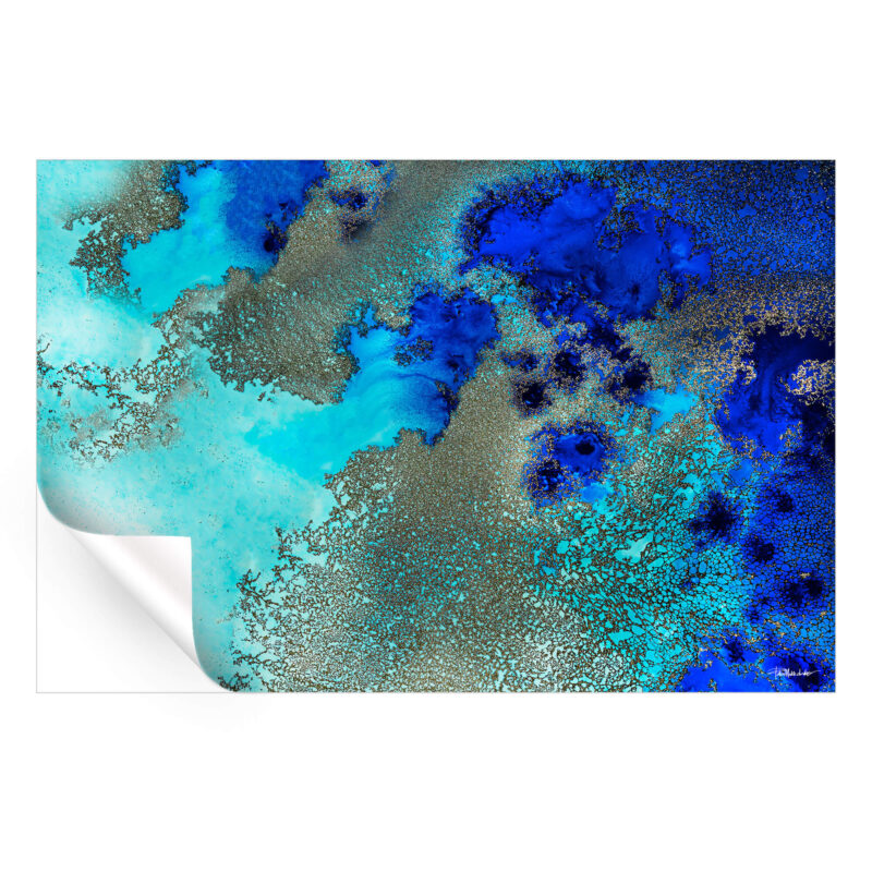 Reef Resonance Vibrant Wall Art by Petra Meikle de Vlas