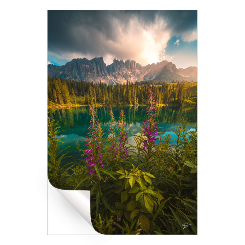 Serene landscape with mountain lake, flowers, and lush green foliage under a bright sky.