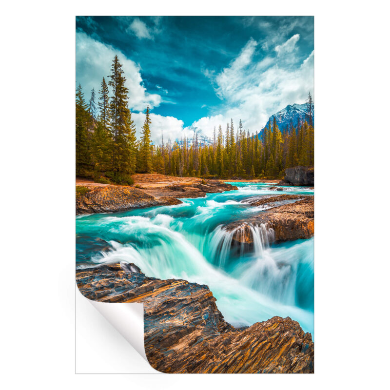 Rocky stream with aqua blue waters flowing over rocks, surrounded by trees and under a blue sky.
