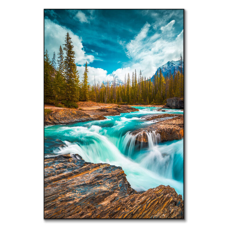 Rocky stream with aqua blue waters flowing over rocks, surrounded by trees and under a blue sky.