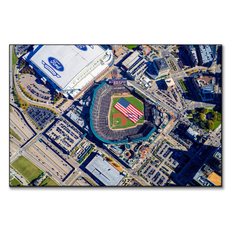 Topaz Tigers Flyover Colorful Wall Art by Michigan Sky Media