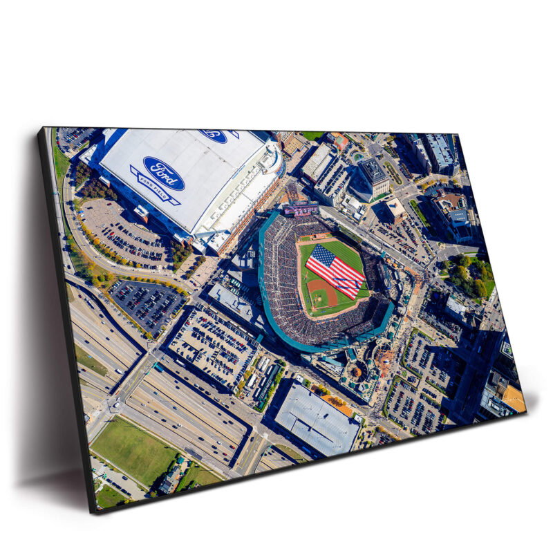 Topaz Tigers Flyover Colorful Wall Decor by Michigan Sky Media