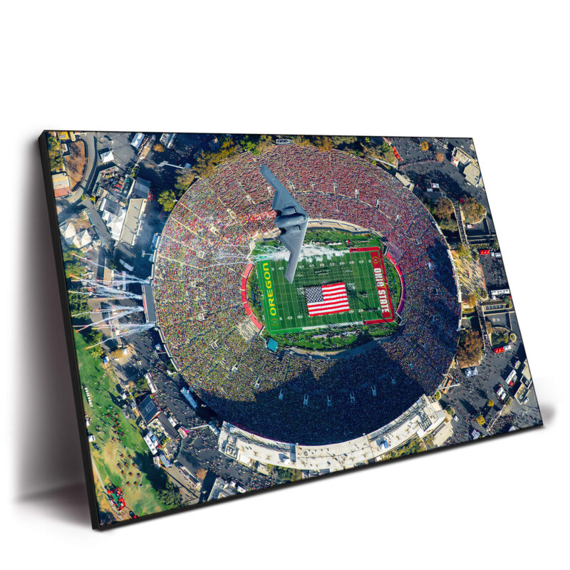 Roses are Scarlet Colorful Wall Decor by Michigan Sky Media