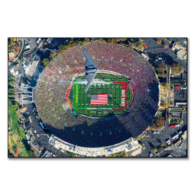 Roses are Scarlet Colorful Wall Art by Michigan Sky Media