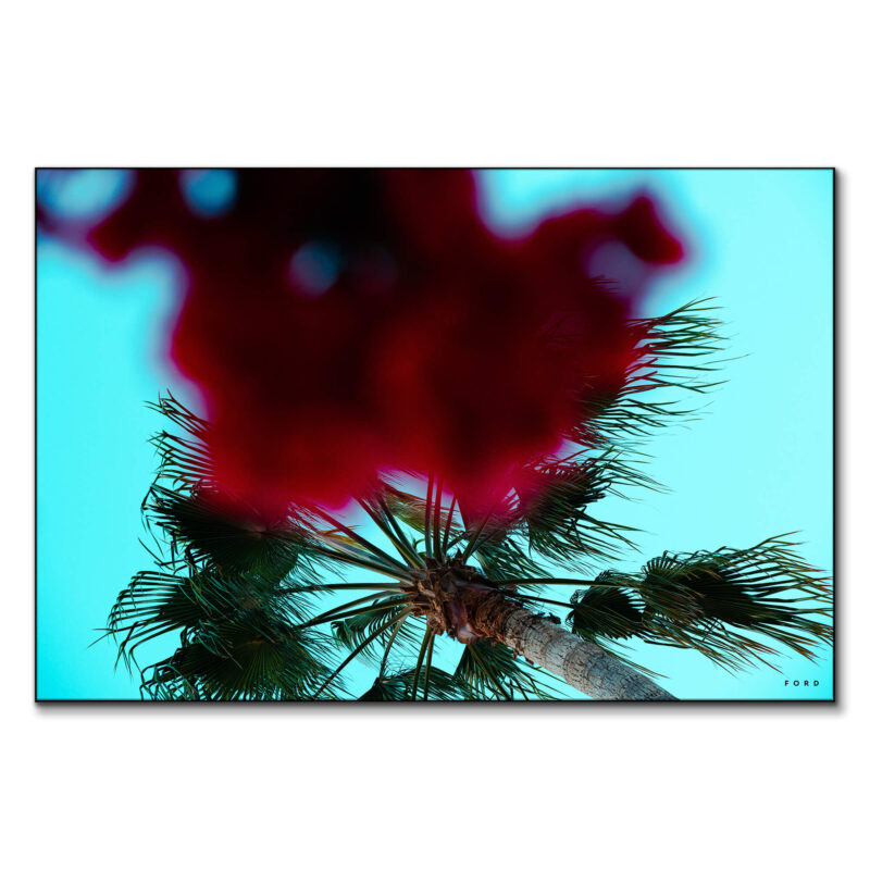 Hustle and FLOWers Red Wall Art by Nick Ford